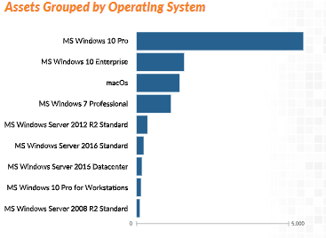IT Assets Grouped by Operating Systems